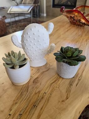White Ceramic Cactus Decor with Two Faux Succulent Pots EUC